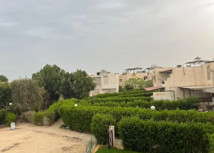 Tulipe Ain Sukhna